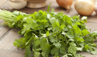 香菜肉丝怎么做 香菜肉丝怎么做的