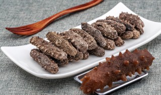 百合海参佐桂圆怎么做(百合配桂圆功效)