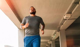 外胚型体质(外胚型体质是什么意思)