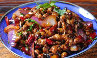 辣炒海丁怎么做（辣炒海丁怎么做好吃）