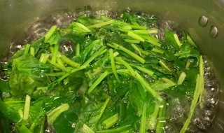 芝麻蛋皮菠菜怎么做（皮蛋菠菜怎么做好吃）