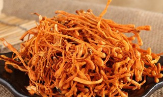 虫草花和蛹虫草的区别在哪里 虫草花和蛹虫草到底是不是一种东西