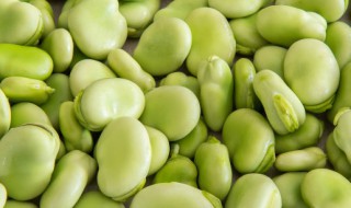 牛肉蚕豆汤怎么做（牛肉蚕豆汤怎么做才好吃）