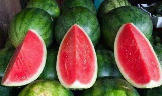 如何快速辨别激素西瓜（如何快速辨别激素西瓜的真假）