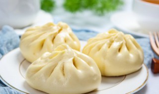 萝卜牛肉馅包子怎么做 萝卜牛肉馅包子怎么做好吃