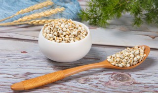 当归薏米鸡腿汤怎么做 薏米鸡腿汤的做法