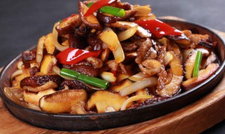 香菇酱炒黑木耳豆腐怎么做(香菇酱炒黑木耳豆腐怎么做的)