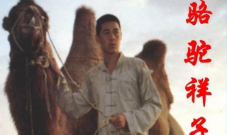 骆驼祥子的三起三落是什么(骆驼祥子的三起三落是什么内容)