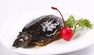 甲鱼内脏哪些可以留着（甲鱼的内脏在什么地方怎么处理）