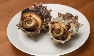 海螺冷冻保存方法（海螺冷冻保存方法图解）