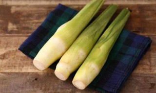 茭白炒平菇怎么做 茭白炒菇窍门