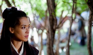 刺客聂隐娘的演员 刺客聂隐娘的演员介绍