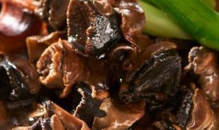 鱿鱼螺肉蒜锅怎么做（鱿鱼螺肉蒜锅怎么做的）