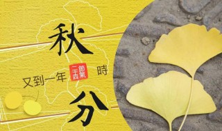 秋分要做什么（秋分做什么活动）