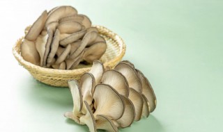 红椒炒菇片怎么做 辣椒炒菇的做法