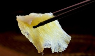 干烧鱼翅怎么做（干烧鱼翅怎么做好吃）