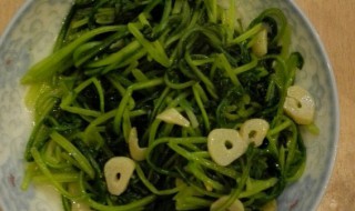 蒜蓉萝卜苗怎么做 蒜蓉萝卜苗怎么做才好吃
