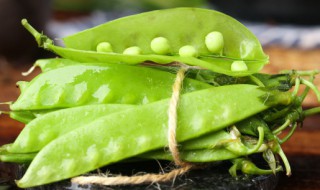 扁豆止带煎怎么做（油煎扁豆的做法大全）