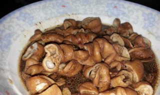 补心益肾小卤怎么做