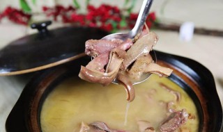 炖乳鸽怎么做好吃（炖乳鸽怎么做好吃窍门）