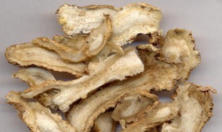 新鲜的当归的保存方法（当归怎么样保存）