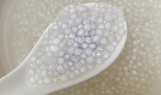 煮熟的西米保存方法 煮熟的西米保存方法视频