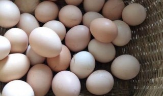 冰箱保存鸡蛋方法 鸡蛋冰箱保鲜方法