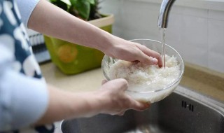 淘米水浇花需要发酵吗 淘米水发酵后臭了还能浇花吗