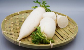 萝卜空心是坏了吗 胡萝卜心空了是坏了吗