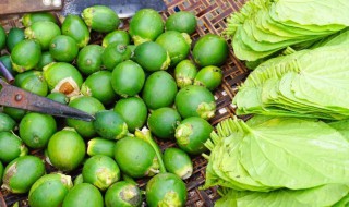 槟榔开一个月了还能吃吗（槟榔开一个月了还能吃吗有毒吗）