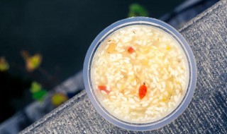 酸奶机做甜酒酿的做法是什么 酸奶机如何做甜酒酿