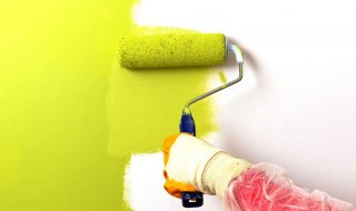 除乳胶漆味的妙招有哪些 怎样除乳胶漆味