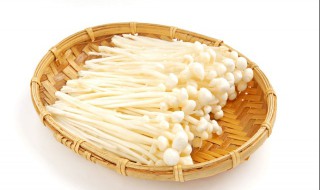 蚝油金针菇的做法 蚝油金针菇的做法菜谱