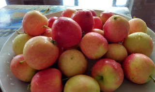 内蒙古有哪些特色水果(内蒙古有哪些特色水果和蔬菜)