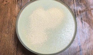 酵母的作用与功效（酵母片的作用与功效）