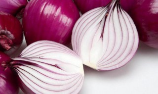 一个洋葱能种出几个来 洋葱种一个长一个吗