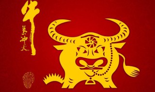 2021年是火牛还是水牛 2021年是水牛还是金牛