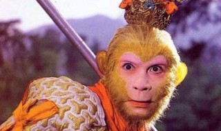 孙悟空人物简介及性格特点 孙悟空人物简介及性格特点作文