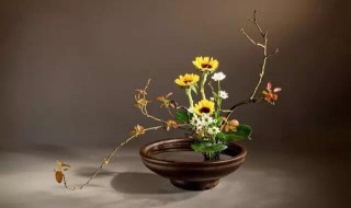 五种插花常用花材及花语 五种插花常用花材及花语及寓意