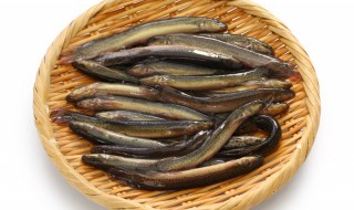 泥鳅钻豆腐家常做法（泥鳅钻豆腐家常做法视频）