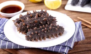 海参怎么挑选好坏 海参怎么挑选好坏图解