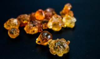 桃胶怎么挑选好的（如何挑选桃胶?）