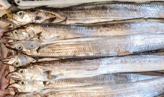 带鱼白膜怎么去除小妙招(带鱼白膜怎么去除小妙招图片)