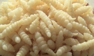 清洗螺丝菜的方法妙招 怎么清洗螺丝菜