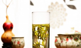 丁香茶是什么茶（丁香茶四种人不能喝）