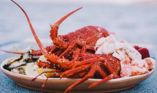 澳龙和波龙的区别（澳龙多少钱一斤市场价）