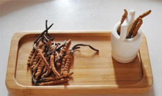 虫草和什么一起泡酒好 虫草和什么一起泡酒好一点