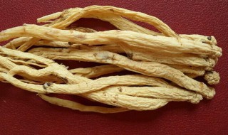 党参和什么一起泡酒好 党参泡酒最佳配方