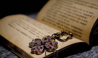 秫秸怎么读 秫秸怎么读音