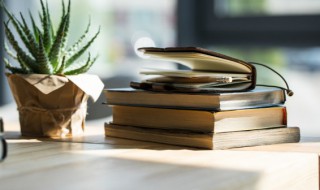 谨慎怎么读 谨慎怎么读什么意思